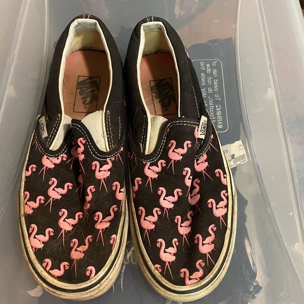 Flamingo vans